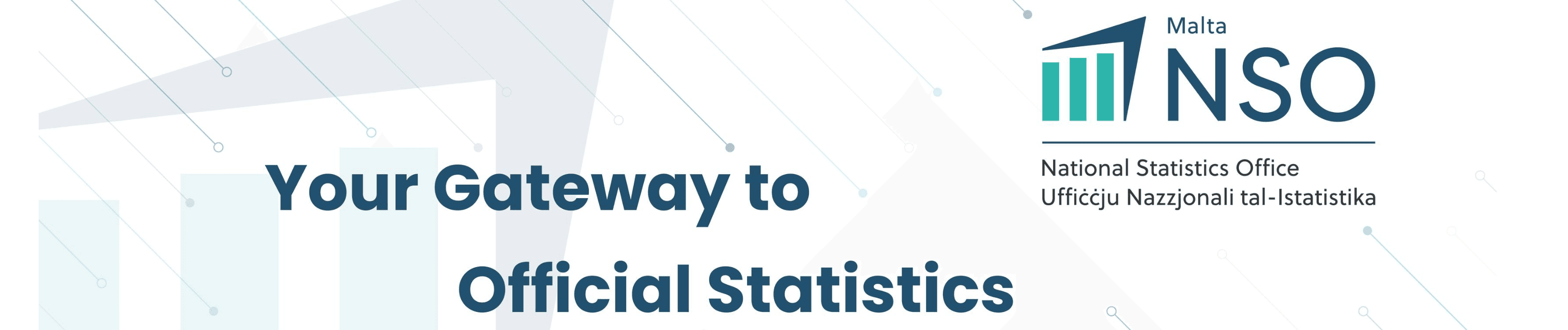 National Statistics Office (NSO)